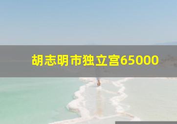 胡志明市独立宫65000