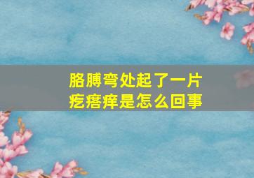 胳膊弯处起了一片疙瘩痒是怎么回事