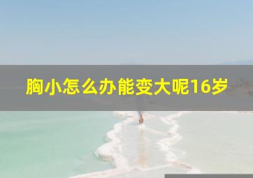 胸小怎么办能变大呢16岁