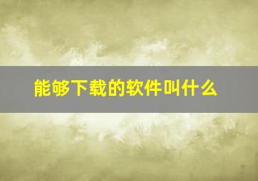 能够下载的软件叫什么