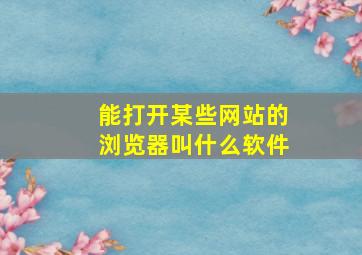 能打开某些网站的浏览器叫什么软件