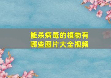 能杀病毒的植物有哪些图片大全视频