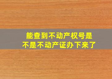 能查到不动产权号是不是不动产证办下来了