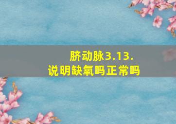 脐动脉3.13.说明缺氧吗正常吗