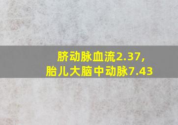 脐动脉血流2.37,胎儿大脑中动脉7.43