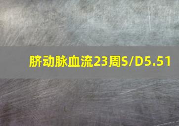 脐动脉血流23周S/D5.51