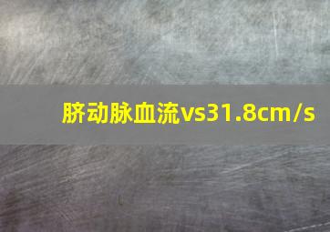 脐动脉血流vs31.8cm/s