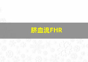 脐血流FHR