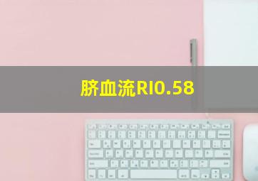 脐血流RI0.58