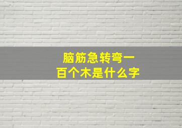 脑筋急转弯一百个木是什么字