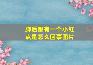 脚后跟有一个小红点是怎么回事图片