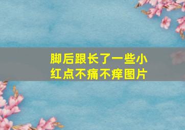 脚后跟长了一些小红点不痛不痒图片