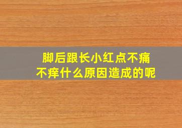 脚后跟长小红点不痛不痒什么原因造成的呢