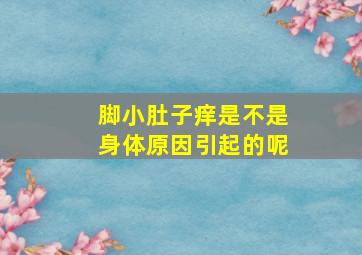 脚小肚子痒是不是身体原因引起的呢