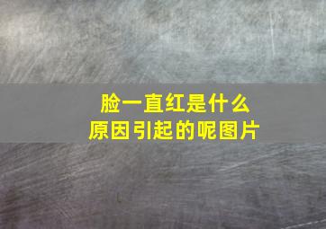 脸一直红是什么原因引起的呢图片