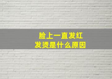 脸上一直发红发烫是什么原因