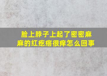 脸上脖子上起了密密麻麻的红疙瘩很痒怎么回事