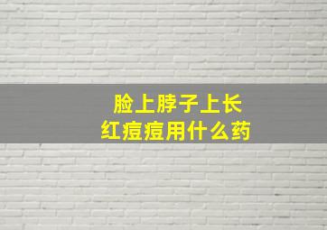 脸上脖子上长红痘痘用什么药