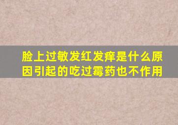 脸上过敏发红发痒是什么原因引起的吃过霉药也不作用