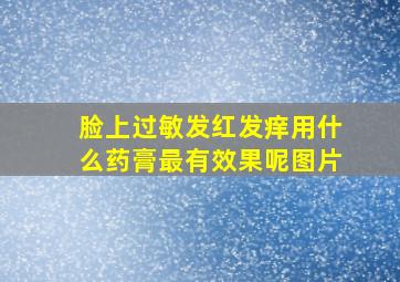 脸上过敏发红发痒用什么药膏最有效果呢图片