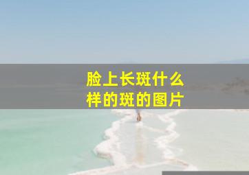 脸上长斑什么样的斑的图片