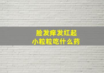 脸发痒发红起小粒粒吃什么药