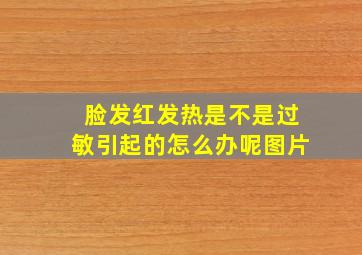 脸发红发热是不是过敏引起的怎么办呢图片