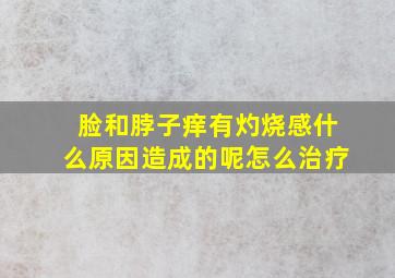 脸和脖子痒有灼烧感什么原因造成的呢怎么治疗