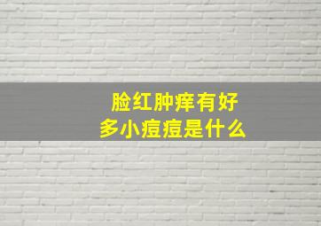 脸红肿痒有好多小痘痘是什么