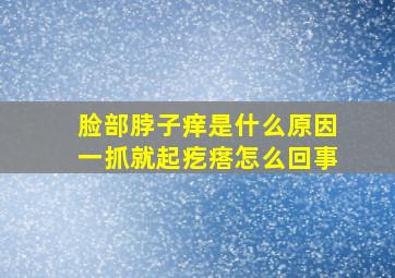 脸部脖子痒是什么原因一抓就起疙瘩怎么回事