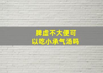 脾虚不大便可以吃小承气汤吗