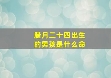 腊月二十四出生的男孩是什么命