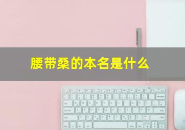 腰带桑的本名是什么