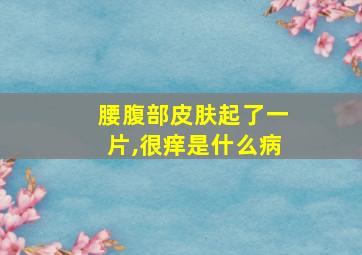 腰腹部皮肤起了一片,很痒是什么病