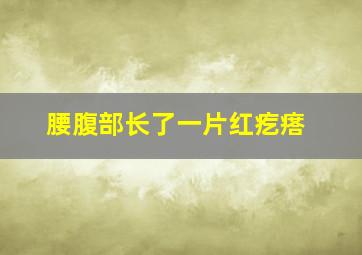 腰腹部长了一片红疙瘩