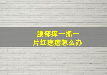 腰部痒一抓一片红疙瘩怎么办