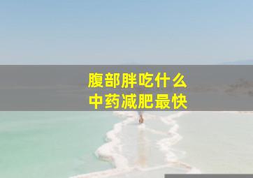 腹部胖吃什么中药减肥最快