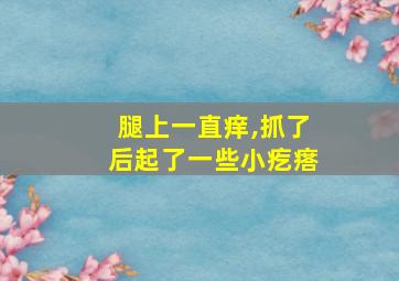 腿上一直痒,抓了后起了一些小疙瘩