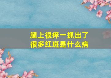 腿上很痒一抓出了很多红斑是什么病