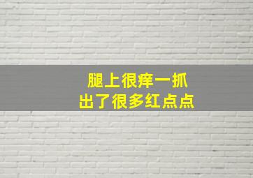 腿上很痒一抓出了很多红点点