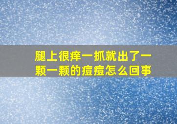 腿上很痒一抓就出了一颗一颗的痘痘怎么回事