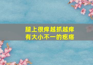 腿上很痒越抓越痒有大小不一的疙瘩