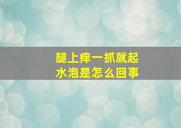 腿上痒一抓就起水泡是怎么回事