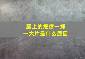 腿上的疙瘩一抓一大片是什么原因