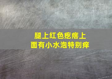 腿上红色疙瘩上面有小水泡特别痒