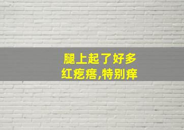 腿上起了好多红疙瘩,特别痒