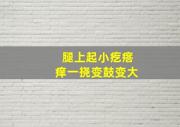 腿上起小疙瘩痒一挠变鼓变大