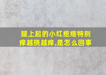 腿上起的小红疙瘩特别痒越挠越痒,是怎么回事