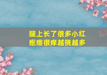 腿上长了很多小红疙瘩很痒越挠越多