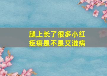 腿上长了很多小红疙瘩是不是艾滋病